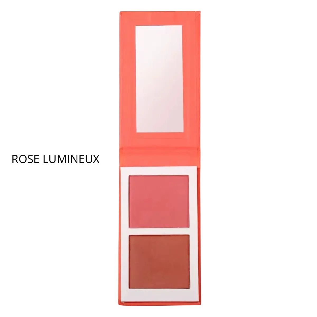 DUO BLUSH POUDRE