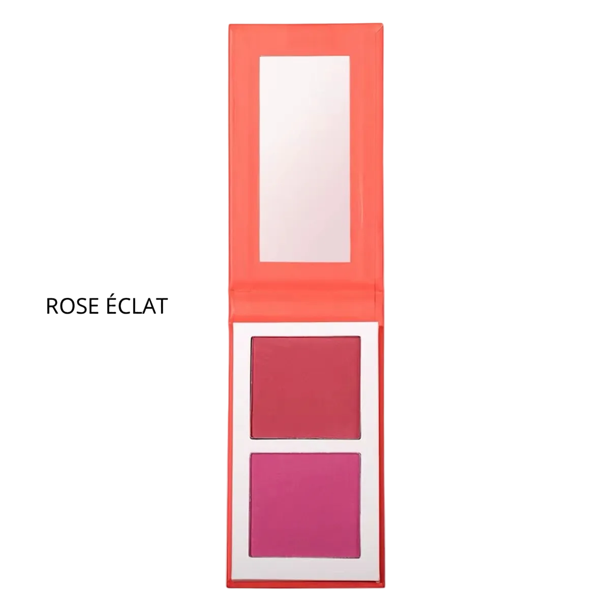 DUO BLUSH POUDRE